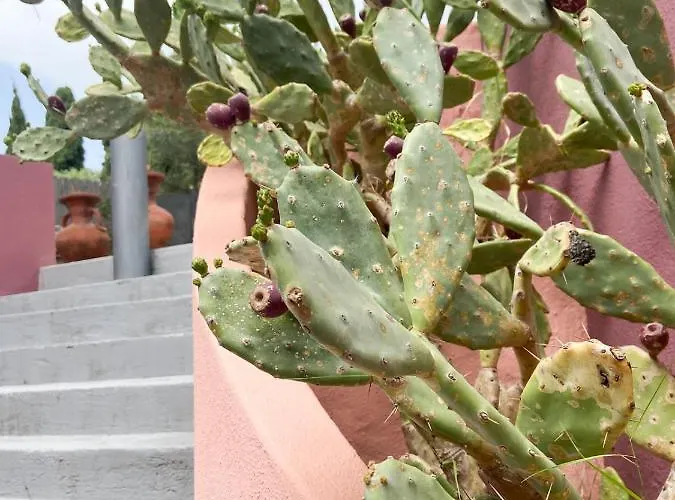 Con Grande Giardino Ad 800 Mt Dal Mare