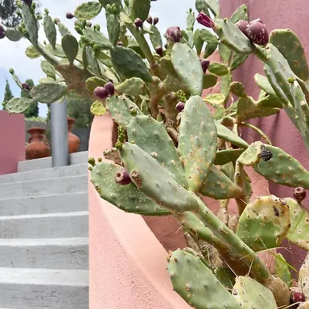Con Grande Giardino A 150 Mt Dal Mare
